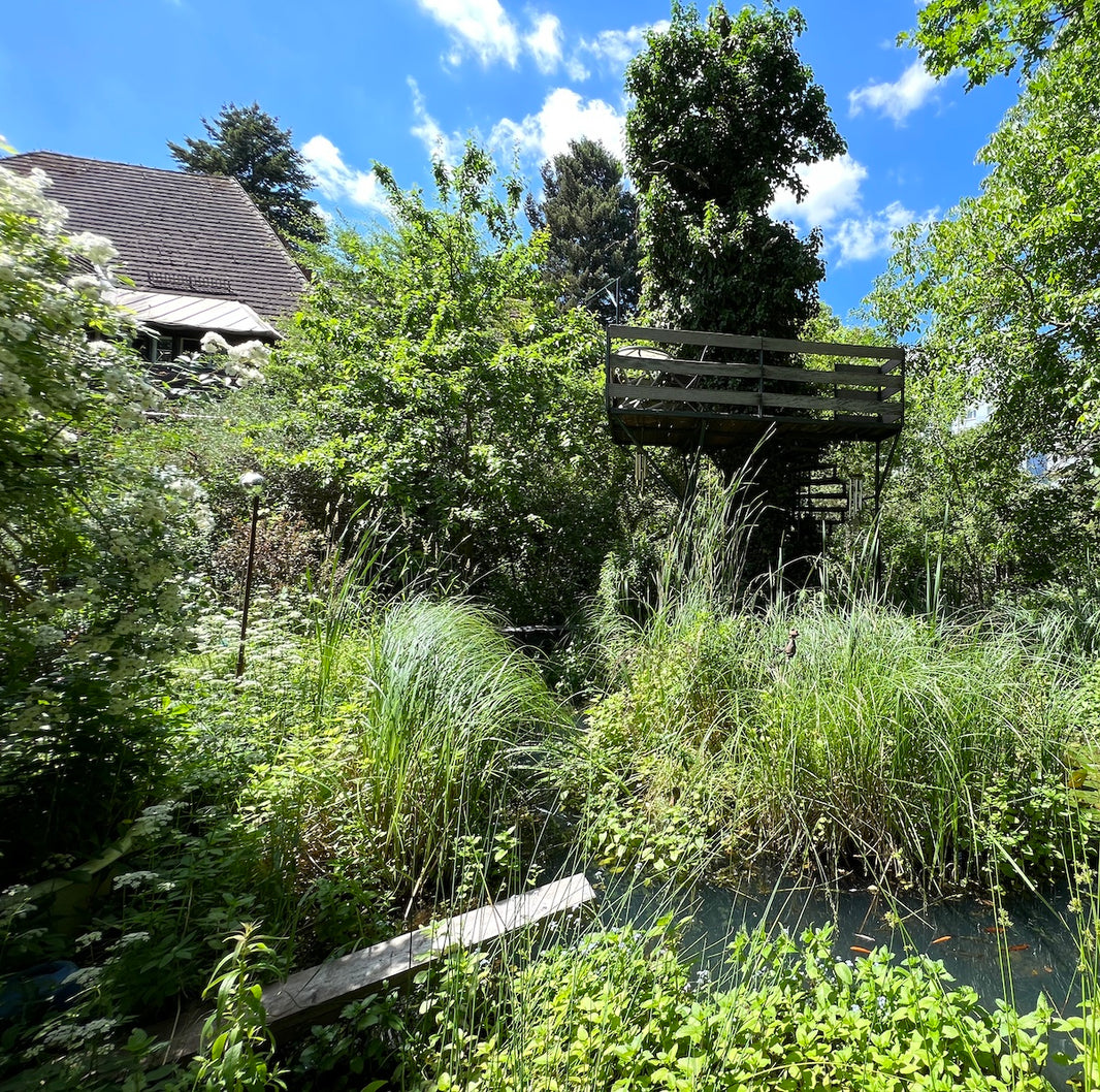 Matchatto Naturgarten mit Baumhaus auf Stelzen, dichtem Grün und Teich mit Wasserpflanzen vor einem Haus mit Ziegeldach